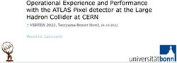 Operational Experience and Performance with the ATLAS Pixel detector at the Large Hadron Collider at CERN - VERTEX 2022, Tateyama Resort Hotel ...