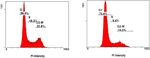 Induction of apoptosis and cell cycle arrest by chloroform fraction of Juniperus phoenicea and chemical constituents analysis