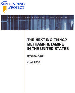 THE NEXT BIG THING? METHAMPHETAMINE IN THE UNITED STATES - Ryan S. King June 2006