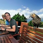 Kāpiti Coast Economic Development Strategy and Implementation Plan 2020-2023 - Kapiti Coast District Council