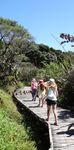 Kāpiti Coast Economic Development Strategy and Implementation Plan 2020-2023 - Kapiti Coast District Council