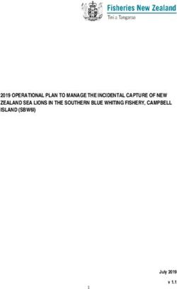 2019 OPERATIONAL PLAN TO MANAGE THE INCIDENTAL CAPTURE OF NEW ZEALAND SEA LIONS IN THE SOUTHERN BLUE WHITING FISHERY, CAMPBELL ISLAND (SBW6I) ...