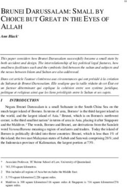 BRUNEI DARUSSALAM: SMALL BY CHOICE BUT GREAT IN THE EYES OF ALLAH - Victoria University of Wellington