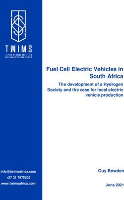 Fuel Cell Electric Vehicles in South Africa - The development of a Hydrogen Society and the case for local electric vehicle production - Guy ...