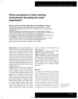 Police perceptions of their working environment: Surveying the small department1
