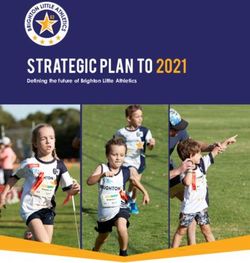 STRATEGIC PLAN TO 2021 - Defining the future of Brighton Little Athletics