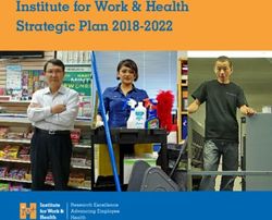 Institute for Work & Health Strategic Plan 2018-2022