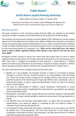 PUBLIC REPORT GRID & MARINE SPATIAL PLANNING WORKSHOP - MAREI