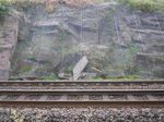 Route Weather Resilience and Climate Change Adaptation Plans - Scotland - Network Rail