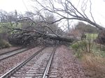 Route Weather Resilience and Climate Change Adaptation Plans - Scotland - Network Rail