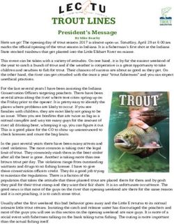 TROUT LINES President's Message
