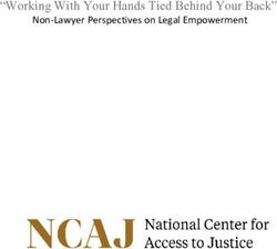 "Working With Your Hands Tied Behind Your Back" - Non-Lawyer Perspectives on Legal Empowerment