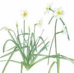 January-March 2019 - dlr Libraries