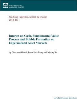 Interest on Cash, Fundamental Value Process and Bubble Formation on Experimental Asset Markets - Working Paper/Document de travail 2014-18