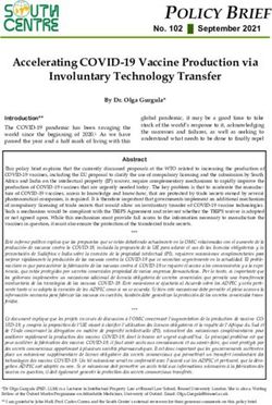 POLICY BRIEF - The South Centre