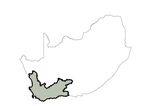 Predicting Wetland Occurrence in the Arid to Semi- Arid 1 Interior of the Western Cape, South Africa, for Improved 2 Mapping and Management ...