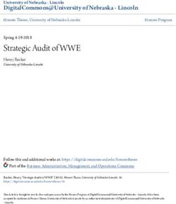 Strategic Audit of WWE - DigitalCommons@University of Nebraska - Lincoln - University of ...