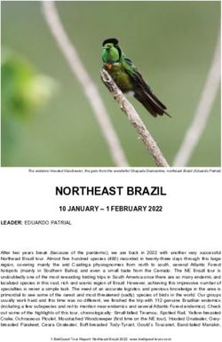 NORTHEAST BRAZIL 10 JANUARY - 1 FEBRUARY 2022 - Birdquest