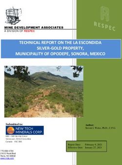 TECHNICAL REPORT ON THE LA ESCONDIDA SILVER-GOLD PROPERTY, MUNICIPALITY OF OPODEPE, SONORA, MEXICO - New Tech Minerals Corp.