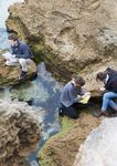 Environment - 2022 Undergraduate - Deakin University