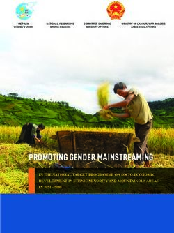 PROMOTING GENDER MAINSTREAMING - CARE ...