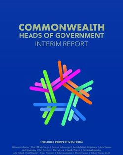 HEADS OF GOVERNMENT INTERIM REPORT