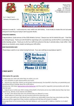 CYBER SAFETY - Theodore State School