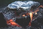 CAMP COOKING WILD GAME AND FISH - www.wildharvesttable.com - Cornell blogs