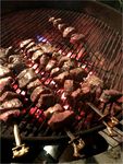 CAMP COOKING WILD GAME AND FISH - www.wildharvesttable.com - Cornell blogs