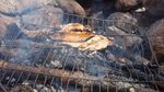 CAMP COOKING WILD GAME AND FISH - www.wildharvesttable.com - Cornell blogs