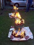 CAMP COOKING WILD GAME AND FISH - www.wildharvesttable.com - Cornell blogs