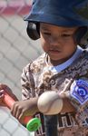 Organizing, Playing, and Watching Games