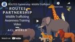 STEP UP TO STOP WILDLIFE TRAFFICKING 2021 - "IT DOESN'T - ROUTES Partnership