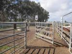 Valuation Report Wangaratta Livestock Exchange 99 Shanley Street Wangaratta, Victoria 3677