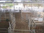 Valuation Report Wangaratta Livestock Exchange 99 Shanley Street Wangaratta, Victoria 3677