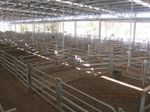 Valuation Report Wangaratta Livestock Exchange 99 Shanley Street Wangaratta, Victoria 3677