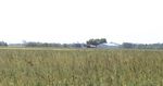 Weed Management Considerations for 2019: Kevin Bradley, University of Missouri - learning from our past in order to prepare for our future ...