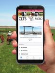 Insights - Canadian Cattle Identification Agency