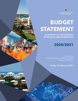 BUDGET STATEMENT 2020/2021 - IN SUPPORT OF THE ESTIMATES OF REVENUE AND EXPENDITURE - Government of Bermuda