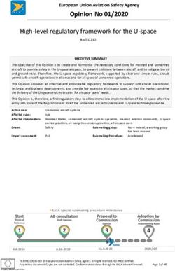 Opinion No 01/2020 High-level regulatory framework for the U-space - Europa EU