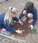 2021 Information for parents and carers - Thurgoona Public ...