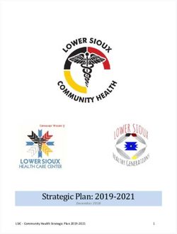 Strategic Plan: 2019-2021 - Lower Sioux Health and Human ...