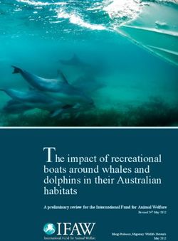 The impact of recreational boats around whales and dolphins in their Australian habitats