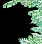 G O JERSEY 2019-wil D - Durrell Wildlife Conservation Trust