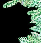 G O JERSEY 2019-wil D - Durrell Wildlife Conservation Trust