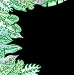 G O JERSEY 2019-wil D - Durrell Wildlife Conservation Trust