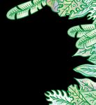 G O JERSEY 2019-wil D - Durrell Wildlife Conservation Trust