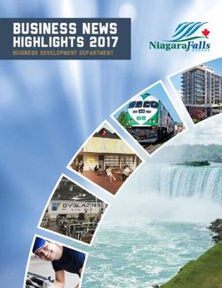 BUSINESS NEWS HIGHLIGHTS 2017 - BUSINESS DEVELOPMENT DEPARTMENT - Niagara Falls Business Development