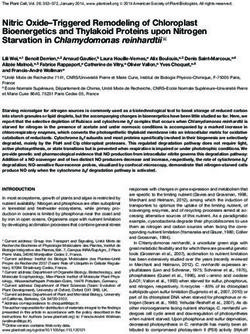 Nitric Oxide-Triggered Remodeling of Chloroplast Bioenergetics and Thylakoid Proteins upon Nitrogen Starvation in Chlamydomonas reinhardtii W