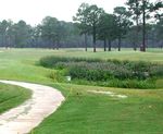 Stormwater Wetlands for Golf Courses